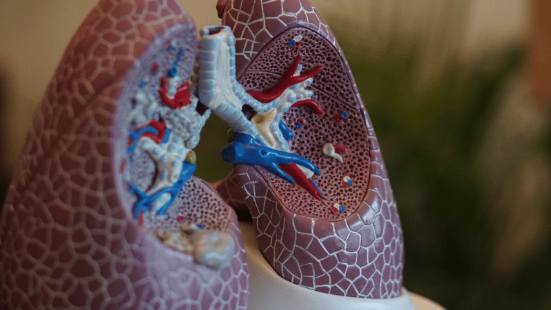 Respiratory Physiology - BTS/ARTP short course