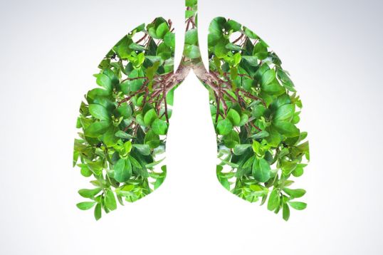 Brand new toolkit to guide respiratory care towards sustainability